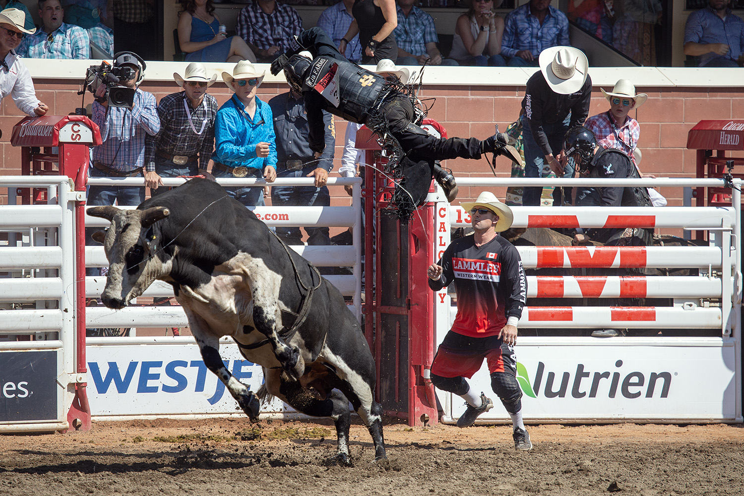 Calgary Stampede Day 2 wrap Hot, hot, hot Rodeo, chucks and