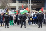 Pro-Palestine Protest