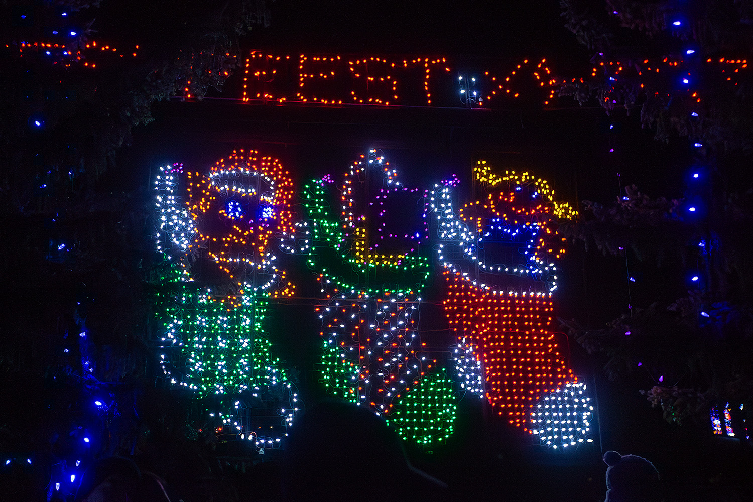 Festival of Lights LiveWire Calgary