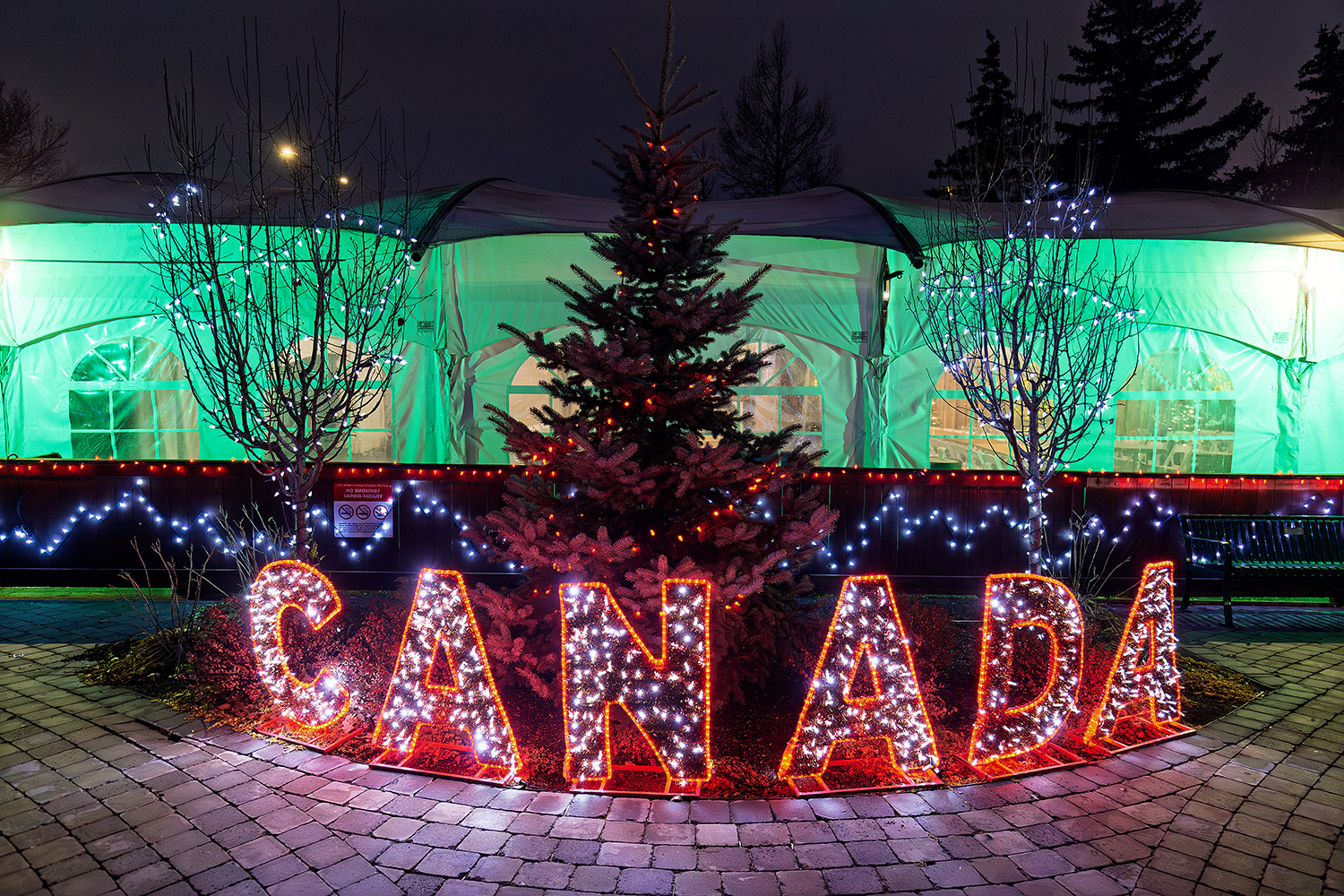 ZooLights returns for epic 29th year at Wilder Institute/Calgary Zoo
