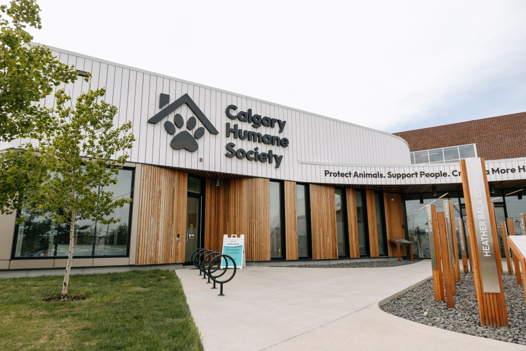City, Calgary animal shelter push for more pet-friendly rentals