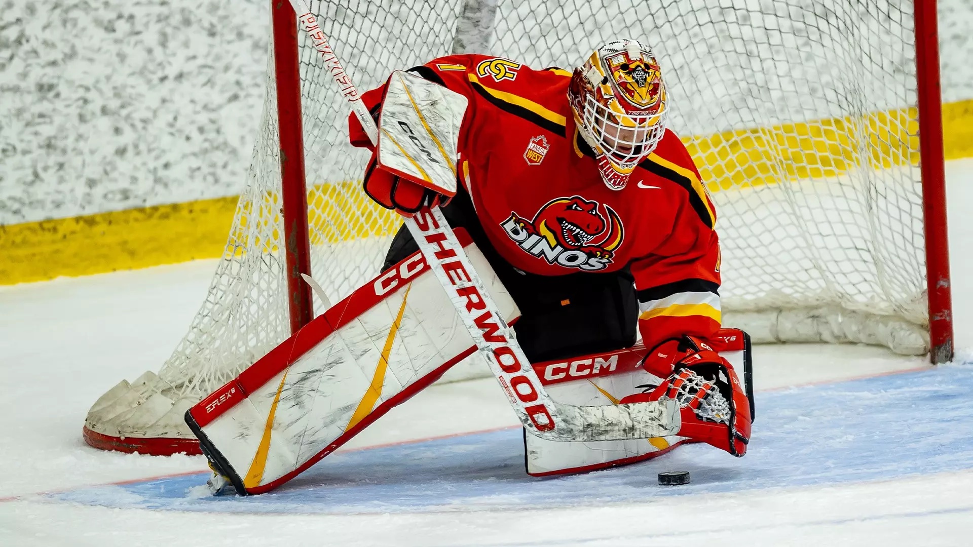 Seattle picks Gabriella Durante, becomes first Dino taken in PWHL draft