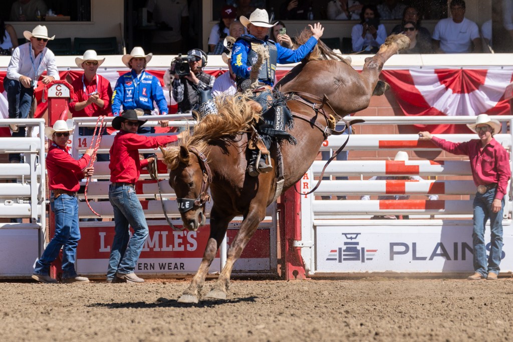 Calgary Stampede 2026: Day 9 Attendance stays steady, big finale ahead