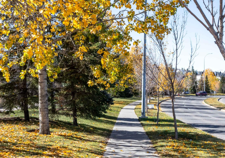 Committee approves pouring more funding into concrete sidewalk repairs